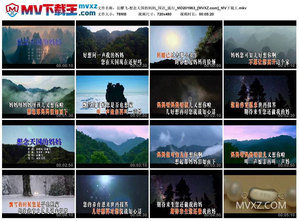 岳耀飞-想念天国的妈妈_国语_流行_MD201963